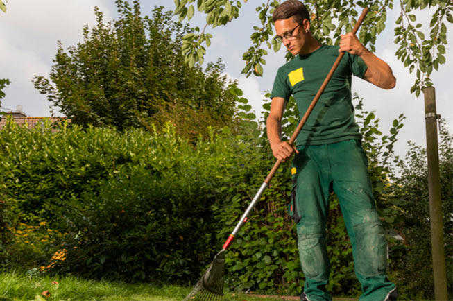Landscaping, lawn care, and gardening are hard work and require expensive knowledge of soil types and plant species. That is where our team shines! Landscaping, lawn care, and gardening are hard work and require expensive knowledge of soil types and plant species. That is where our team shines!